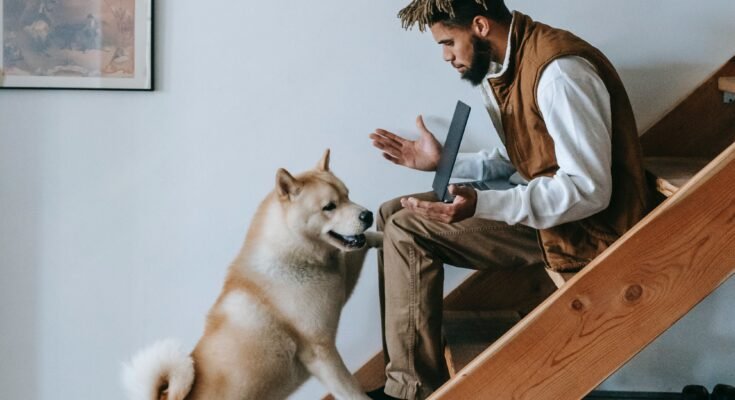 Punish Dogs for Pooping in House